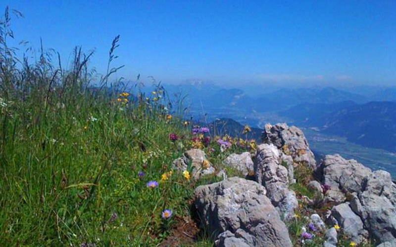 Gasthof Pension Alpenblick Radfeld Dış mekan fotoğraf